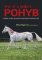 Koně a jejich pohyb Koně a jejich pohyb