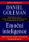 Emoční inteligence Emoční inteligence