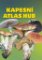 Kapesní atlas hub Kapesní atlas hub