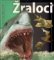 Žraloci - Na vlastní oči