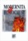 Modernita a holocaust
