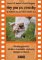 Hry pro psí čenichy - DVD Hry pro psí čenichy - DVD