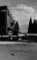Adolf Loos on Trial Adolf Loos on Trial
