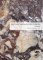 Adolf Loos: Meaning, Context, Reception / Essays Adolf Loos: Meaning, Context, Reception / Essays