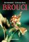 Brouci Brouci