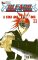Bleach 11 - A Star and a Stray Dog
