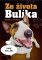 Ze života Bulíka Ze života Bulíka