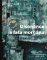 Disonance a fata morgána - Česká literatura 1964-1971
