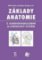 Základy anatomie 2 - Kardiovaskulární a lymfatický systém Základy anatomie 2 - Kardiovaskulární a lymfatický systém
