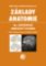 Základy anatomie 4a - Centrální nervový systém Základy anatomie 4a - Centrální nervový systém