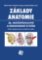 Základy anatomie. 3b - Močopohlavní a endokrinní systém Základy anatomie. 3b - Močopohlavní a endokrinní systém