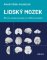 Lidský mozek Lidský mozek