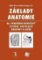 Základy anatomie 4b - Periferní nervový systém, smyslové orgány a kůže