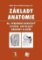 Základy anatomie 4b - Periferní nervový systém, smyslové orgány a kůže Základy anatomie 4b - Periferní nervový systém, smyslové orgány a kůže