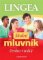 Česko-ruský školní mluvník... s výslovností Česko-ruský školní mluvník... s výslovností