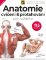 Anatomie cvičení & protahování pro každého Anatomie cvičení & protahování pro každého
