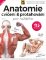Anatomie cvičení & protahování pro každého