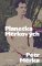 Planetka Měrkových Planetka Měrkových