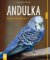 Andulka - Domov jako klícka Andulka - Domov jako klícka