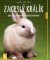 Zakrslý králík - Jak mu vytvořit útulný domov - Jak na to Zakrslý králík - Jak mu vytvořit útulný domov - Jak na to