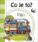 Co je to? Vlaky Co je to? Vlaky
