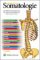 Somatologie Somatologie