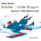 Dráček/Little Dragon Dráček/Little Dragon