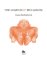 The Legend of the Golem: Legenda o Golemovi (anglicky)