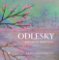 Odlesky - Kreativní meditace Odlesky - Kreativní meditace