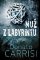 Muž v labyrintu