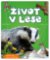 Život v lese