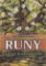Runy - Cesta k zasvěcení Runy - Cesta k zasvěcení