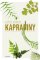 Kapradiny Kapradiny