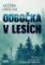Odbočka v lesích Odbočka v lesích