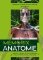 Memorix anatomie