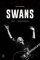 Swans Swans