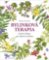 Bylinková terapia Bylinková terapia