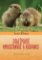 Dojímavé hmyzožravce a hlodavce Dojímavé hmyzožravce a hlodavce