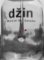Džin Džin