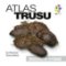 Atlas trusu Atlas trusu