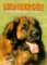 Leonberger Leonberger
