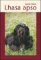 Lhasa apso