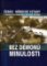 Bez démonů minulosti česko-německé vztahy