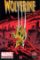 Wolverine (Kniha 05) - Comicsové legendy 17