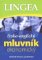 Česko-anglický mluvník ekonomický ... obchod, finance, podnikání