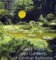 Great Parks and Gardens of Central Bohemia Great Parks and Gardens of Central Bohemia