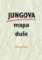 Jungova mapa duše Jungova mapa duše