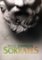 Sokrates