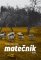 Matečník Matečník