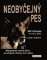 Neobyčejný pes Neobyčejný pes